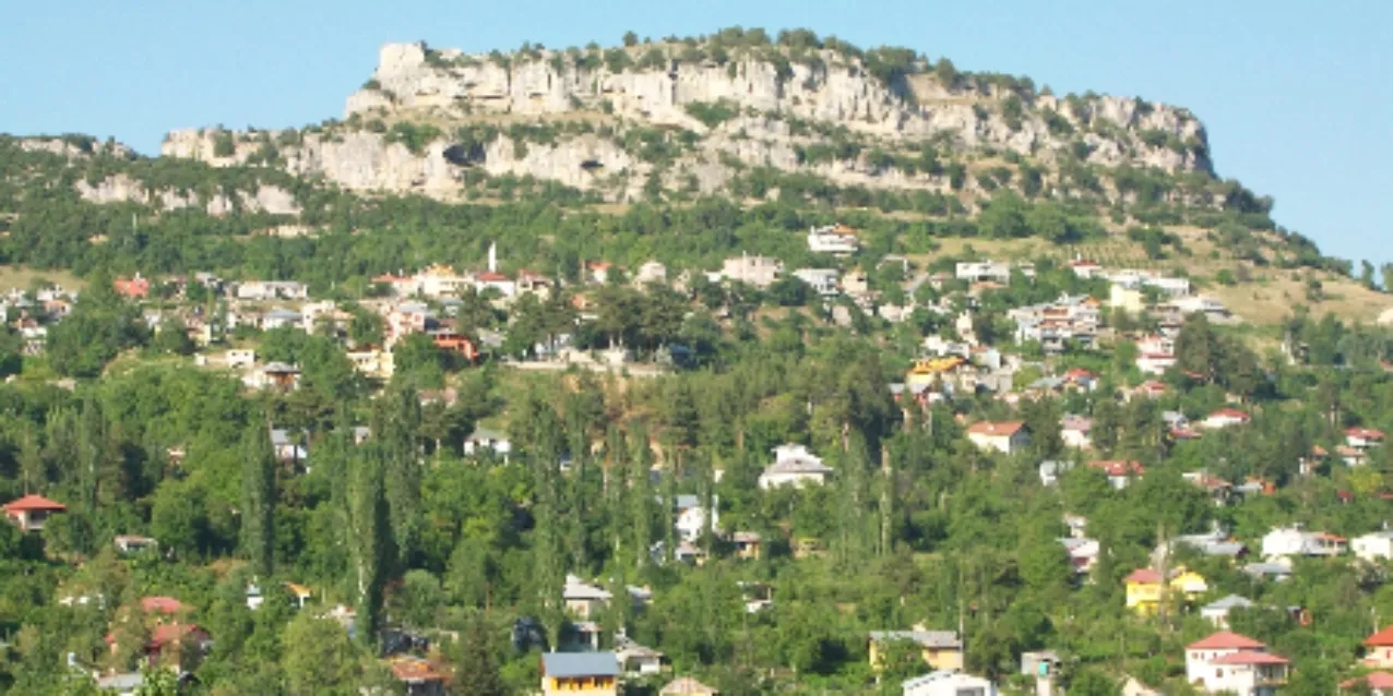 Çamlıyayla