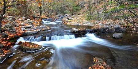 Ceylanpınar