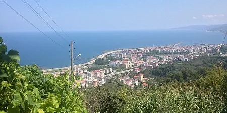 Görele