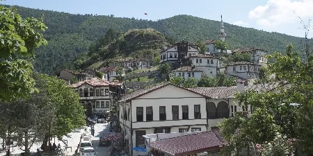 Taraklı